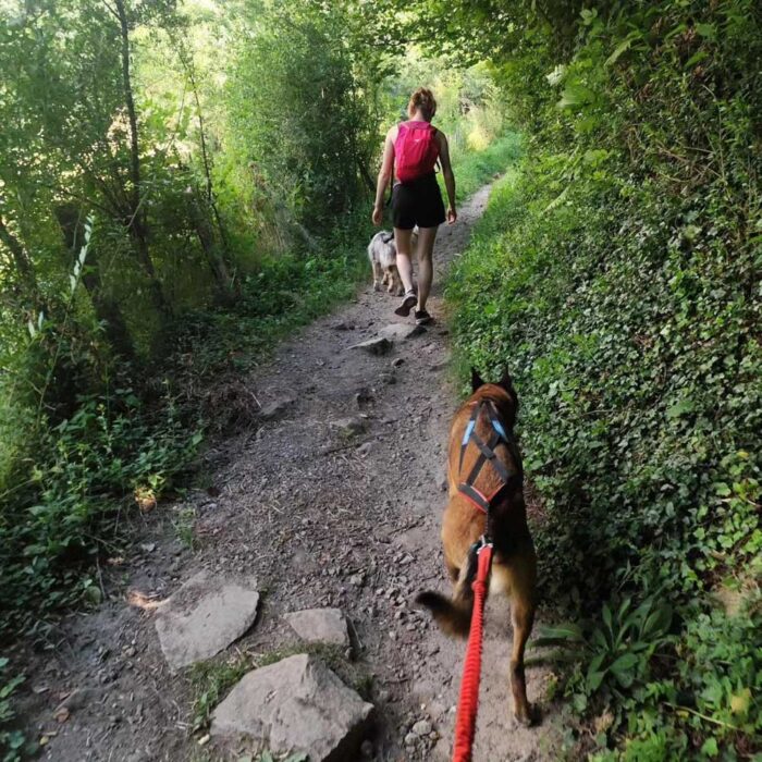 randonneuse en promenade avec son chien en Auvergne